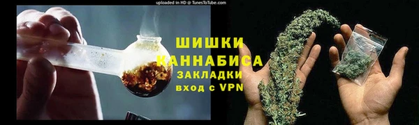 мдпв Михайлов