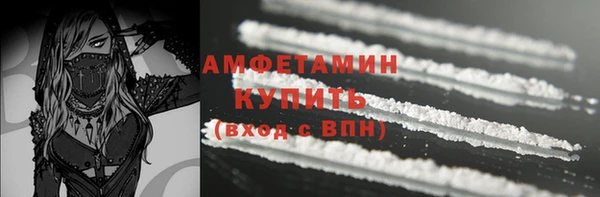 молекула духа Мегион