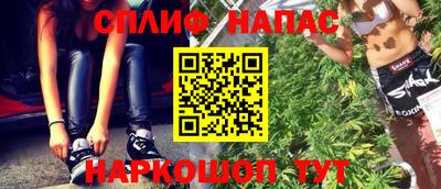 гидра Беслан