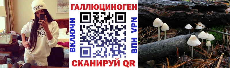 Галлюциногенные грибы MAGIC MUSHROOMS  купить закладку  Мурманск 