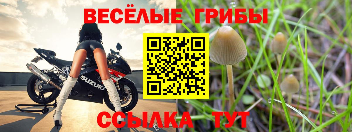 магазин  наркотиков  Вход с VPN  Мурманск  Псилоцибиновые грибы мухоморы 