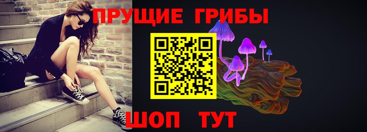 Псилоцибиновые грибы Cubensis Мурманск