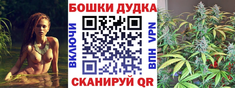 Конопля сатива Мурманск